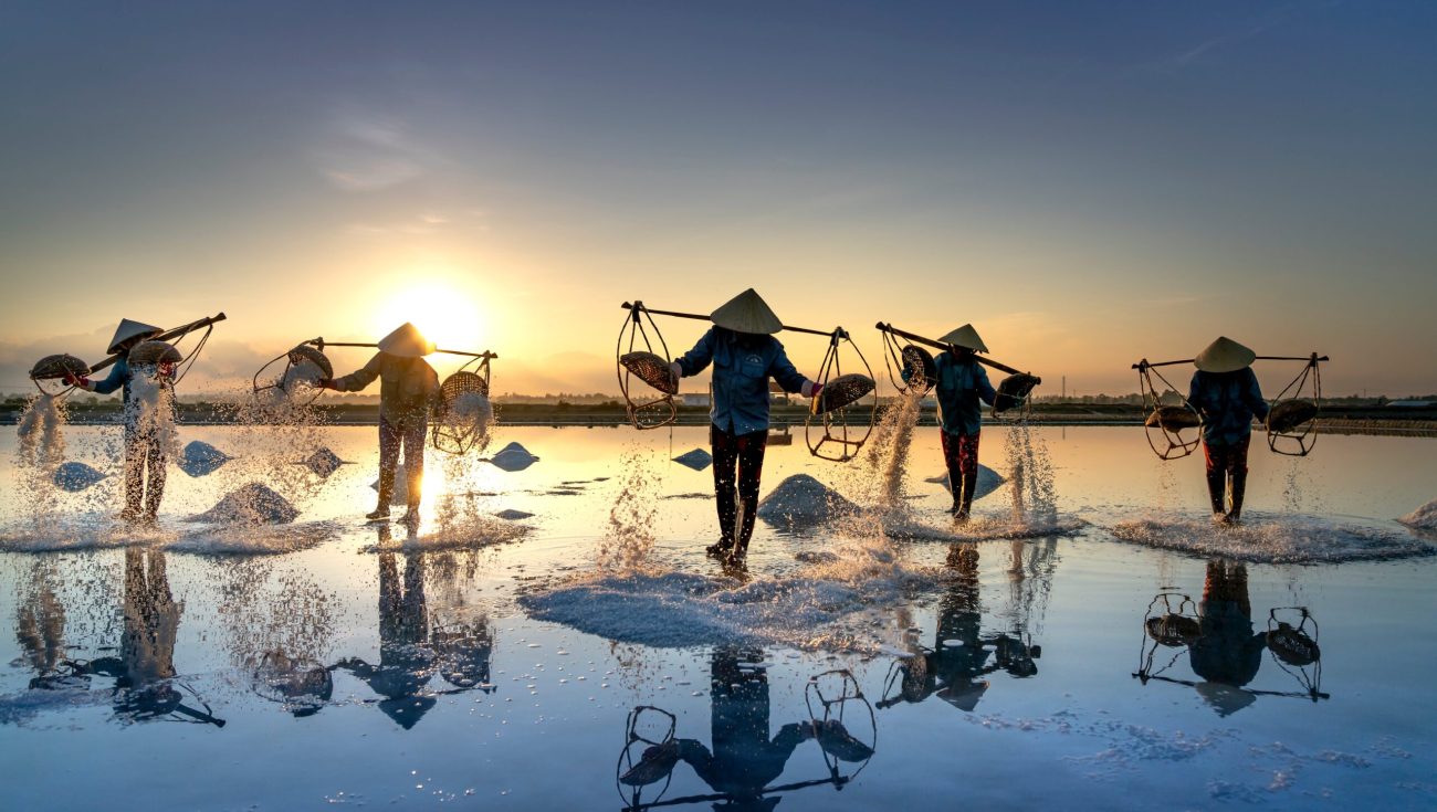 pexels-quang-nguyen-vinh-6346638 pexels-quang-nguyen-vinh-6346638
